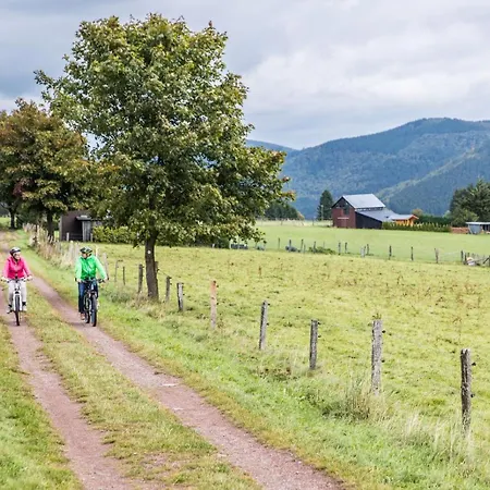Feriepark Welcome In - - Gemuetliche In Der Naehe Des Zentrums Und Des Skigebiets