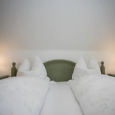 Welcome In - - Gemuetliche In Der Naehe Des Zentrums Und Des Skigebiets