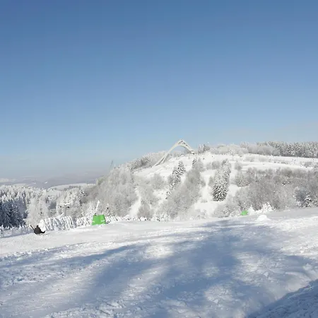 Welcome In - - Gemuetliche In Der Naehe Des Zentrums Und Des Skigebiets * Winterberg