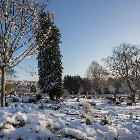 Welcome In - - Gemuetliche In Der Naehe Des Zentrums Und Des Skigebiets Winterberg